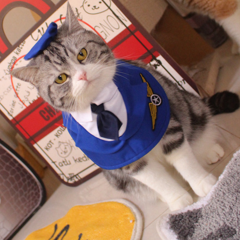Fashion Personalized Pet Fighter Clothing Neck