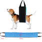 New Pet Products Dog Auxiliary Belt Pet Power