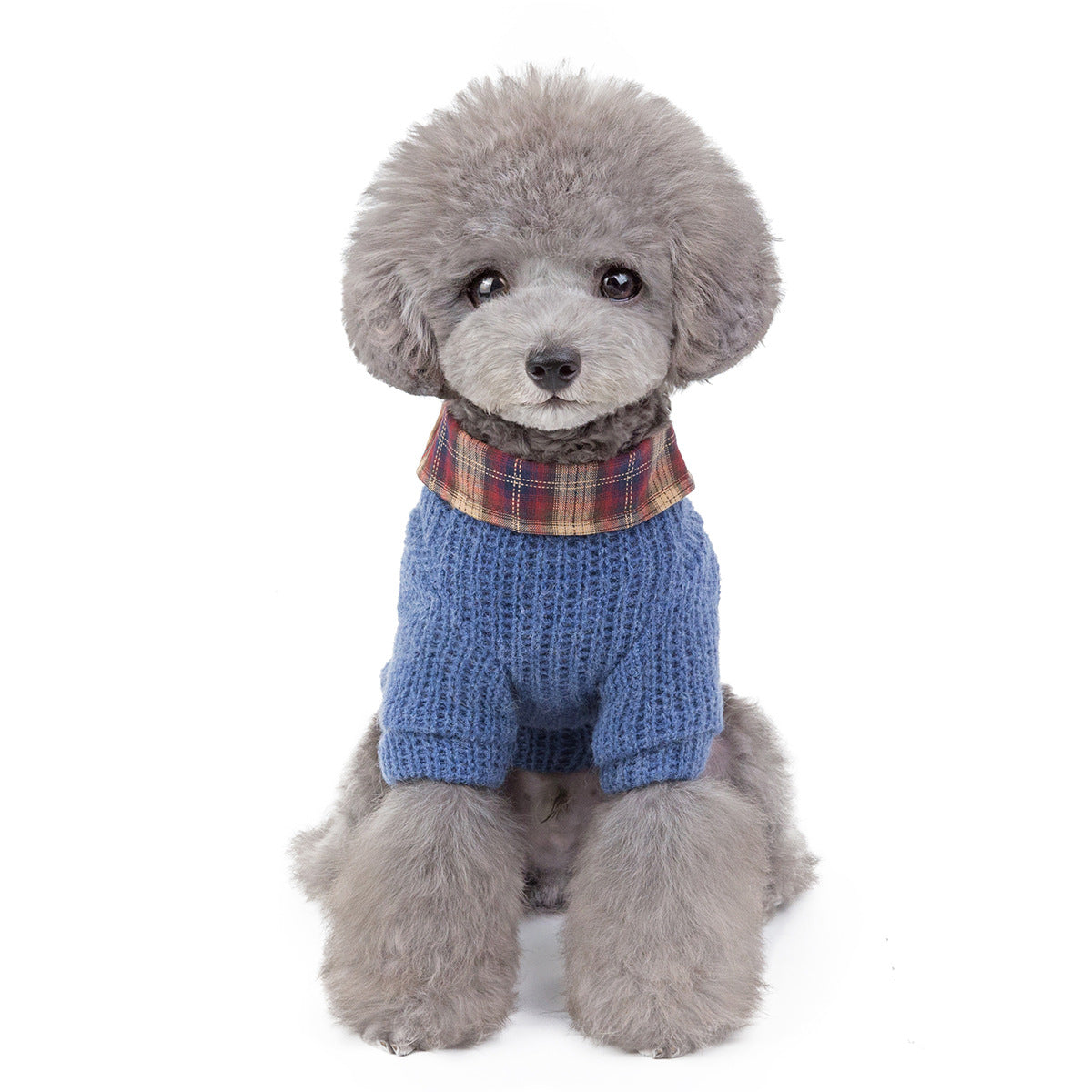 Pet Clothing Academy Wind Dogs Cats Out Clothing
