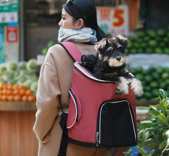 Pet Dog Backpack