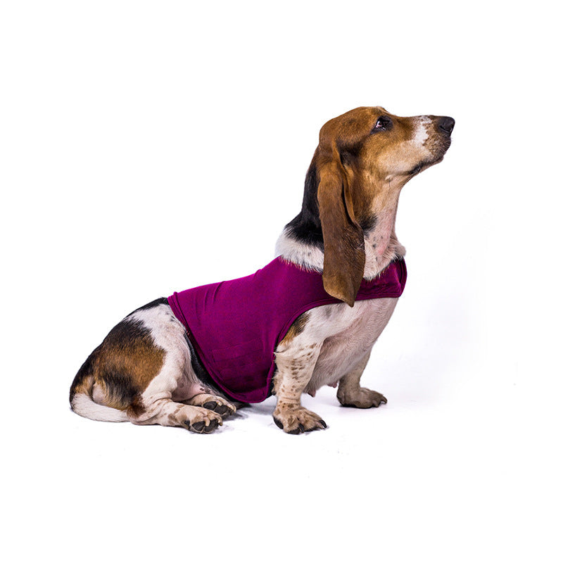 Pet dog anxiety comfort clothing