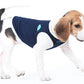 Pet Clothing Dog Vest Two-legged Clothing