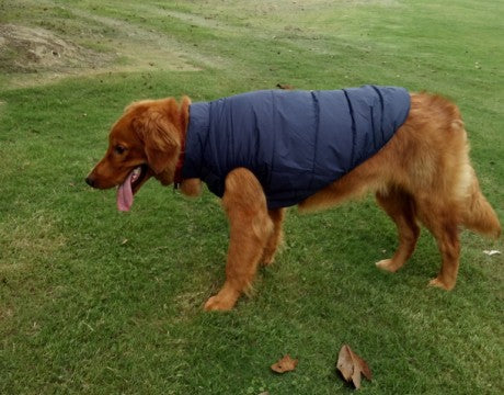 Pet clothing dog clothing warm waterproof outdoor pet supplies