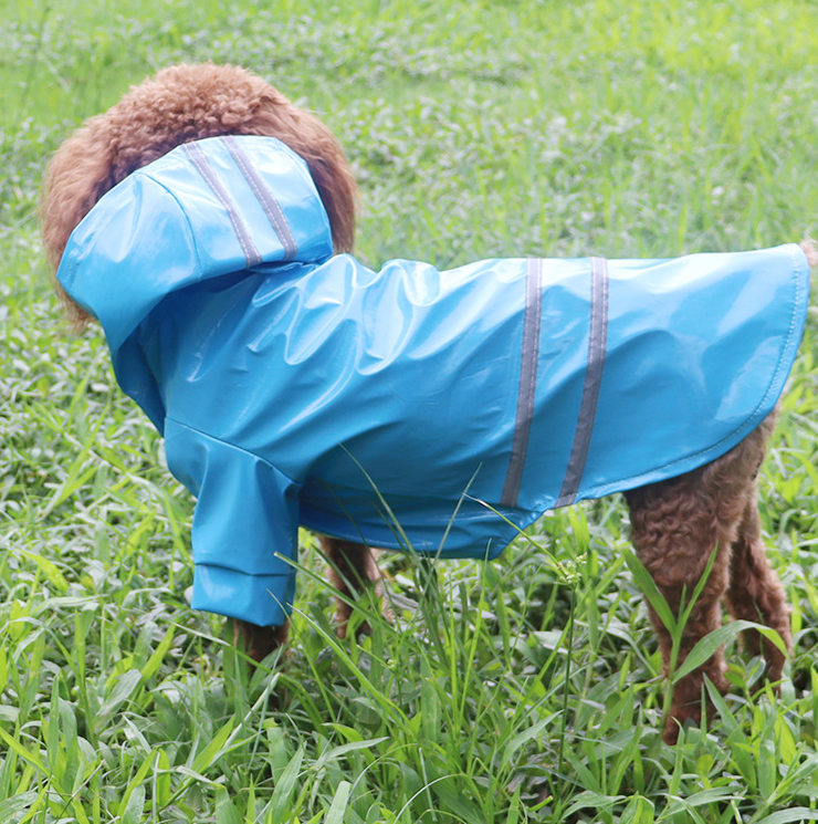 Fashion Pet Dog Clothing In Rainy Season